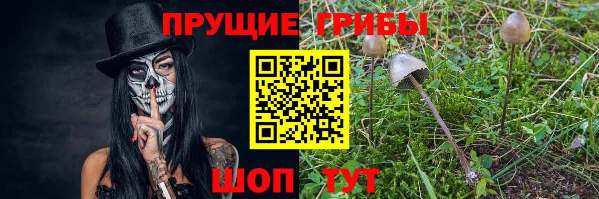 Псилоцибиновые грибы MAGIC MUSHROOMS Елец