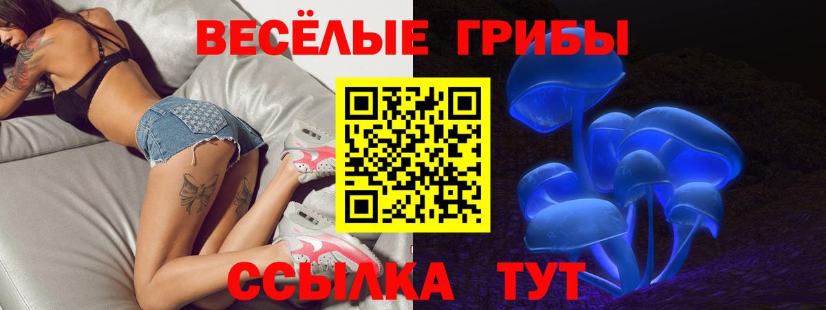 Псилоцибиновые грибы мицелий  Вход с VPN  Галлюциногенные грибы Psilocybe  Елец 